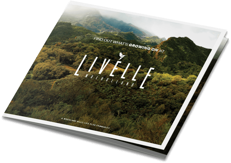 Livelle Mulholland Direct Mail Brochure Cover